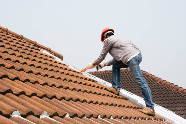 Best Solar Panel Roofing Installation  in Lake City, IA