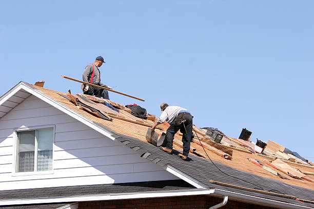 Best Gutter Installation and Repair  in Lake City, IA